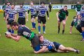 Monaghan 2nd XV Vs CIYMS March 14th 2015 (21)